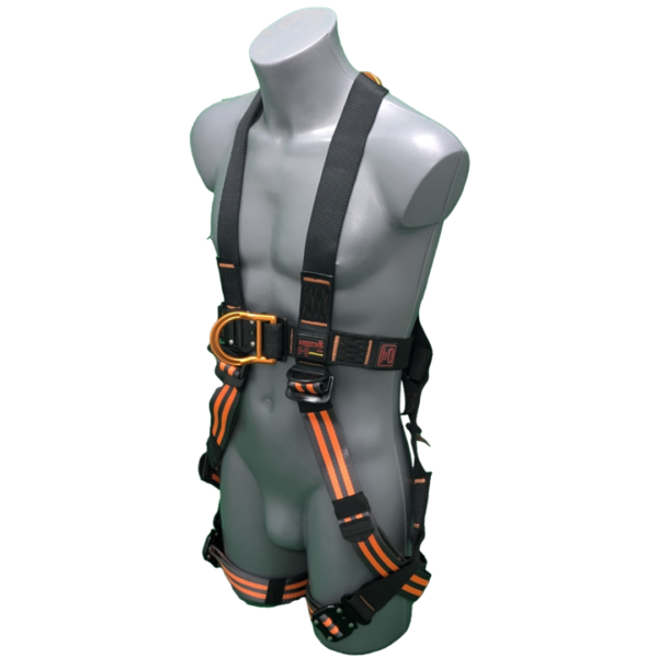 AR-01077-Full-1.png