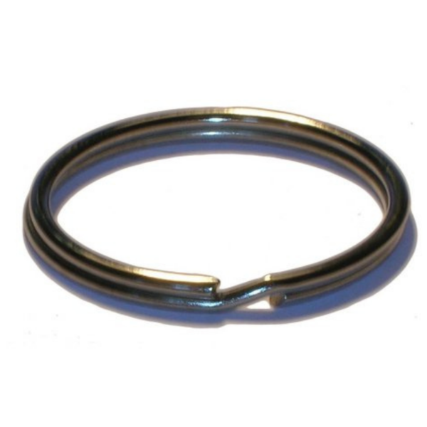 Split-ring-1.png